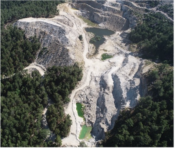 Aerial view of a DELFI feldspar quarry surrounded by forest